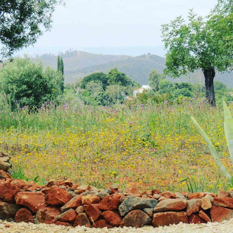 Quinta Das Piteiras-Turismo Rural Silves Exterior foto